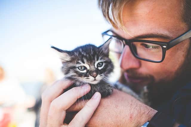 A man holding and looking intently at a small kitten. The kitten looks bored into the camera.
